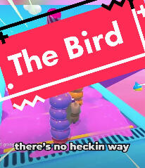 Kobie Tiktok - The Bird